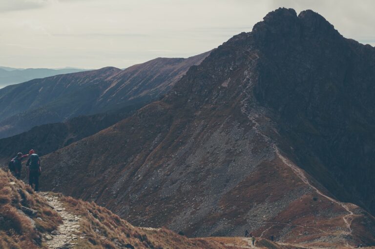 Top Hiking Apps for Outdoor Enthusiasts